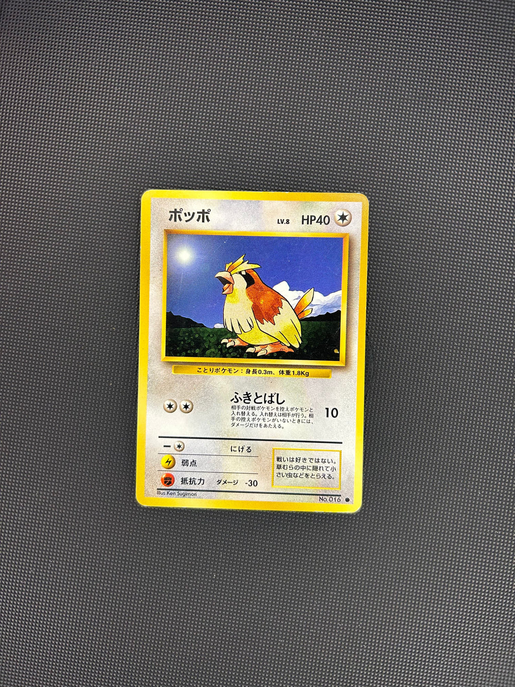Pidgey #16 [Japanese]